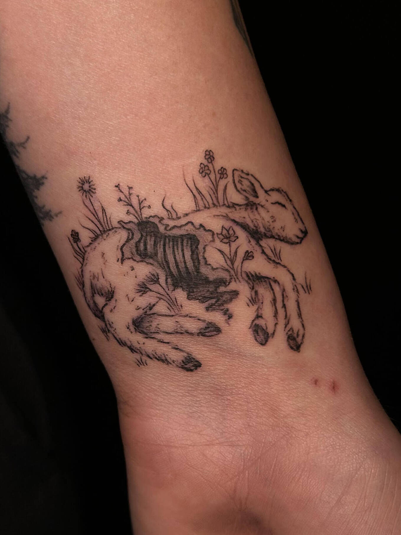 GALLERY | Zx3 Ink | Garden of Eve