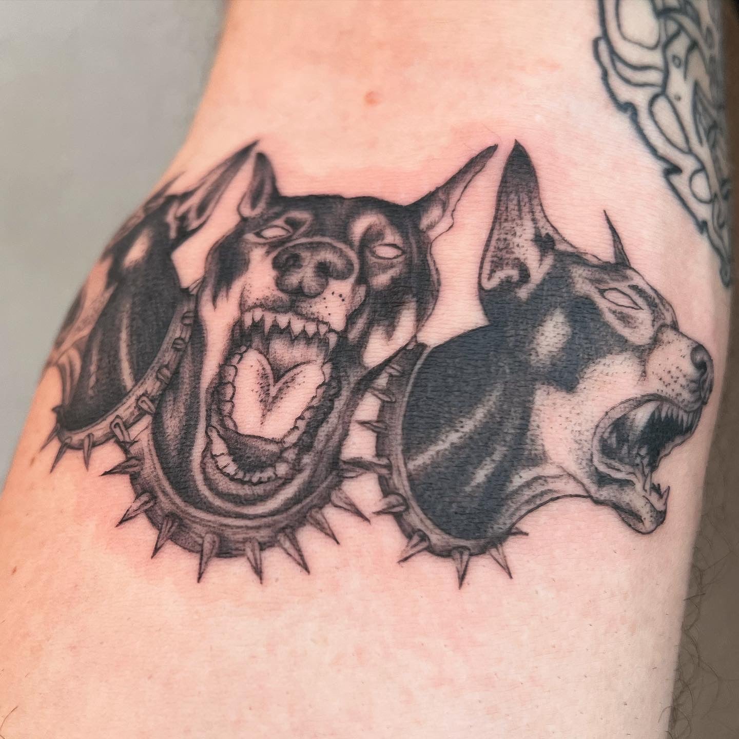GALLERY | Zx3 Ink | Garden of Eve