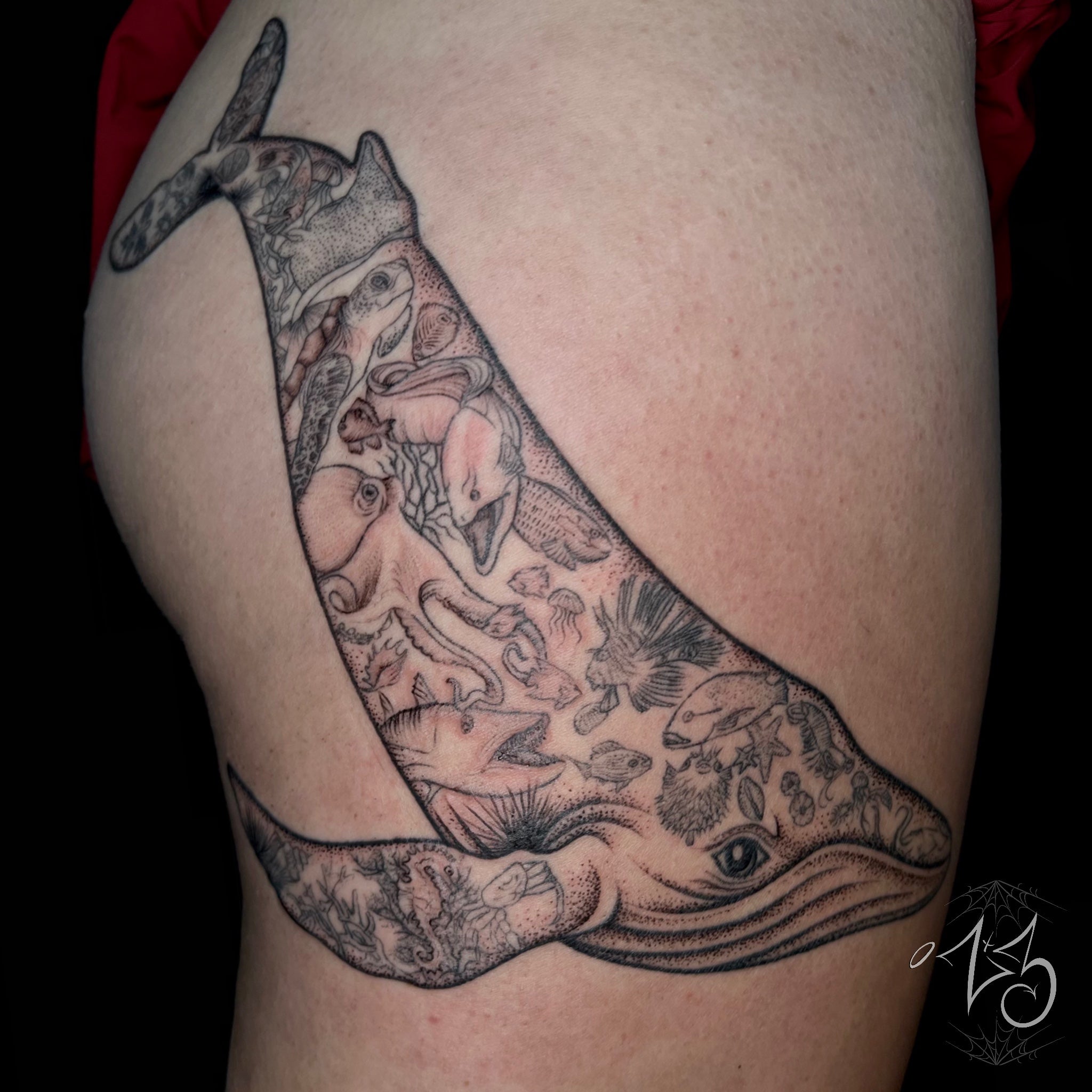 GALLERY | Zx3 Ink | Garden of Eve