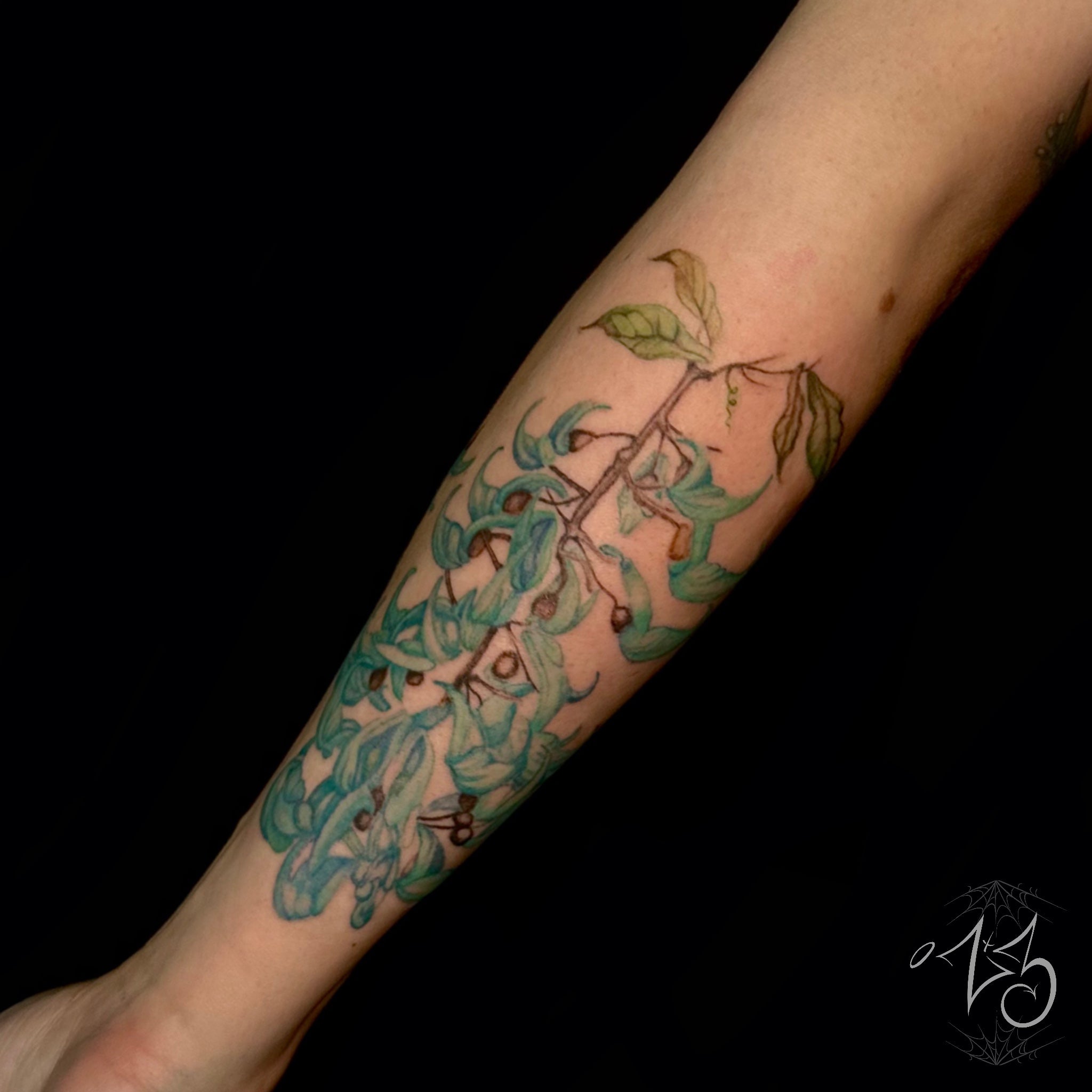 Zx3 Ink | Zx3 Ink | Garden of Eve